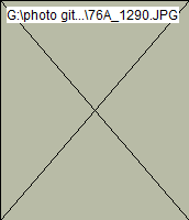 wp06d6b988.png