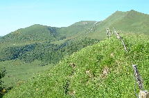 wp18013827.png